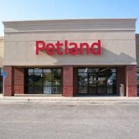 Petland Wichita East Kellogg ico