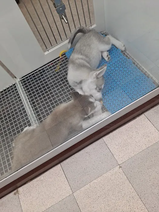 Petland Wichita East Kellogg 12