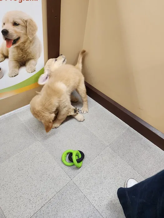 Petland Wichita East Kellogg 12
