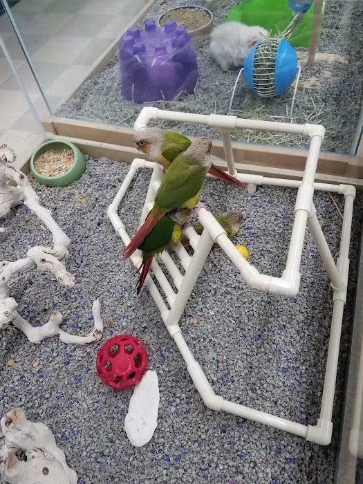 Petland Wichita East Kellogg 12