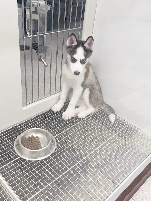 Petland Wichita East Kellogg 12