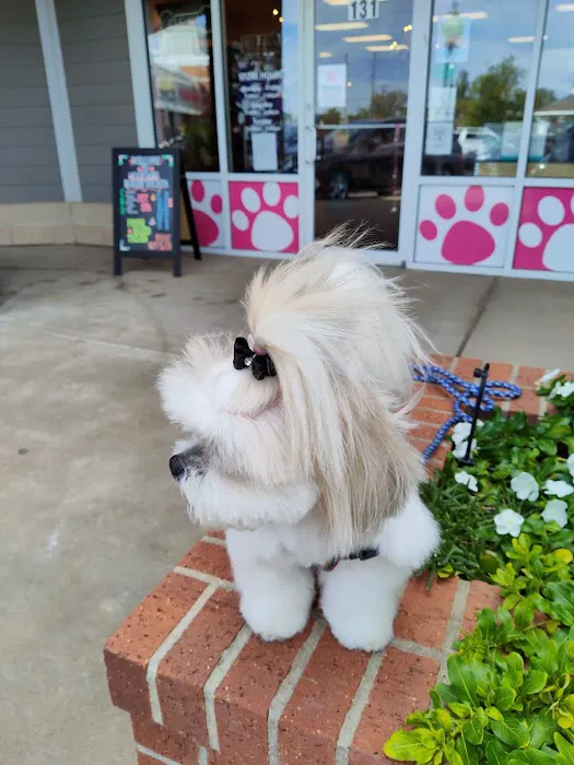 Woof Gang Bakery & Grooming Wichita 12
