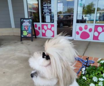 Woof Gang Bakery & Grooming Wichita