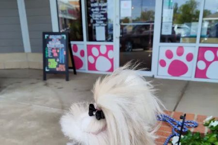 Woof Gang Bakery & Grooming Wichita