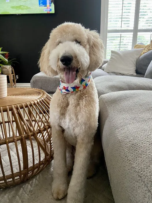 Woof Gang Bakery & Grooming Wichita 12