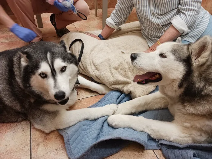 Nordahl Pet Clinic 5