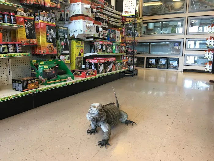 Tails & Scales Pet Shop 12