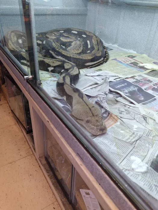Tails & Scales Pet Shop 12