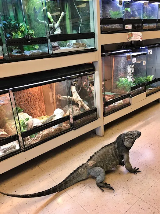 Tails & Scales Pet Shop 12