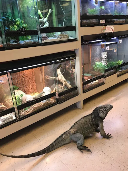 Tails & Scales Pet Shop 12