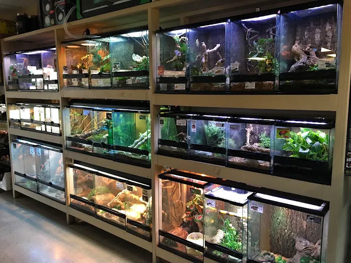 Tails & Scales Pet Shop 12