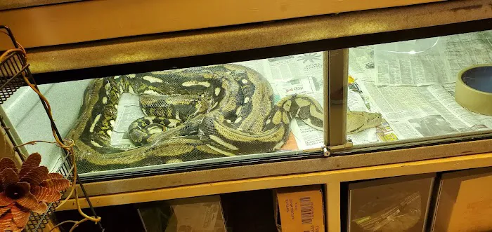 Tails & Scales Pet Shop 12