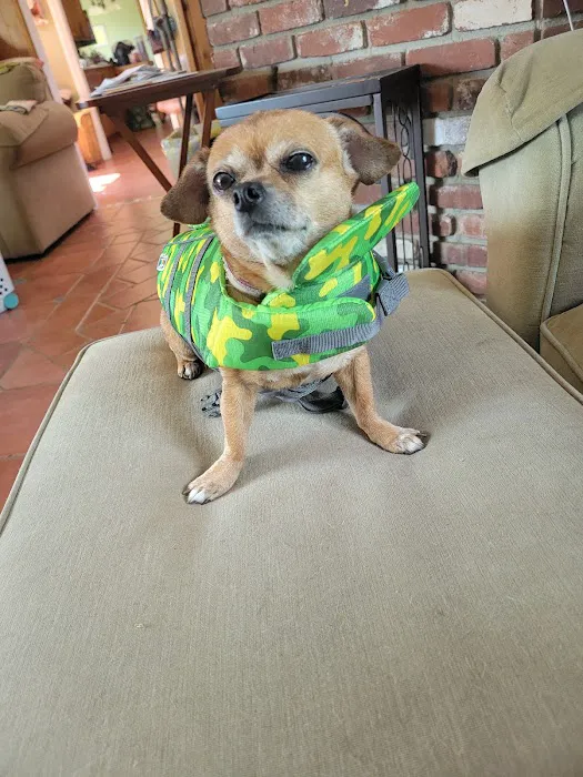 El Norte Veterinary Clinic 5