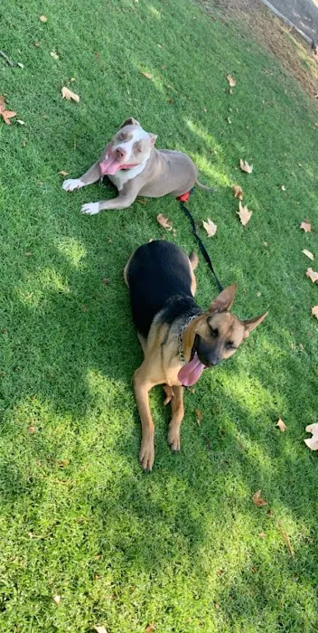 El Norte Veterinary Clinic 8