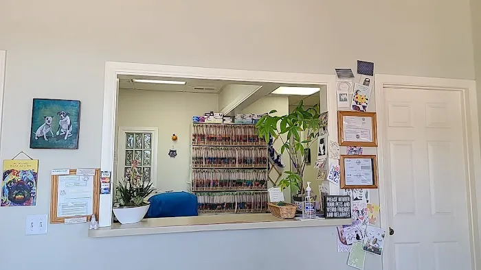 El Norte Veterinary Clinic 4