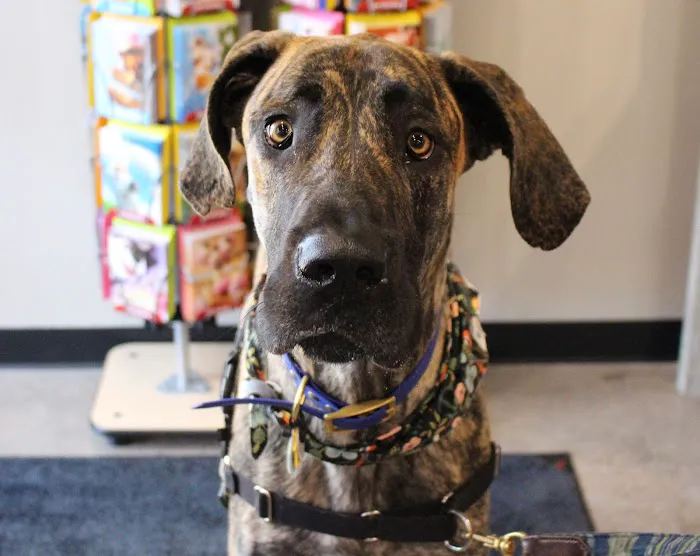Chuck & Don's Pet Food & Supplies 12