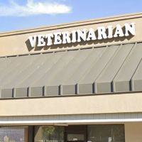 North Escondido Animal Hospital ico