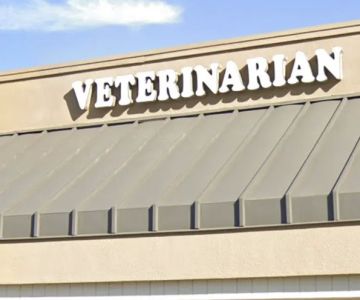 North Escondido Animal Hospital
