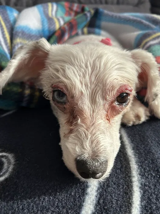 Banfield Pet Hospital 6