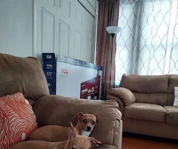 Banfield Pet Hospital