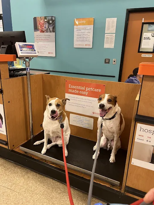 Banfield Pet Hospital 4