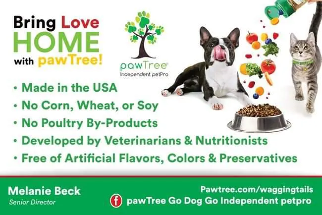 Pawtree go dog go Independent petpro 12
