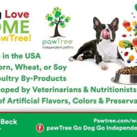 Pawtree go dog go Independent petpro ico