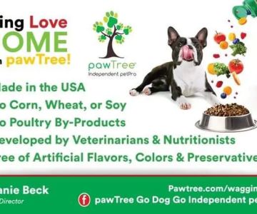 Pawtree go dog go Independent petpro
