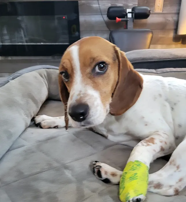 VCA Blairstown Animal Hospital 1