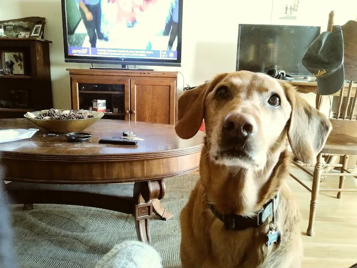 VCA Blairstown Animal Hospital 4