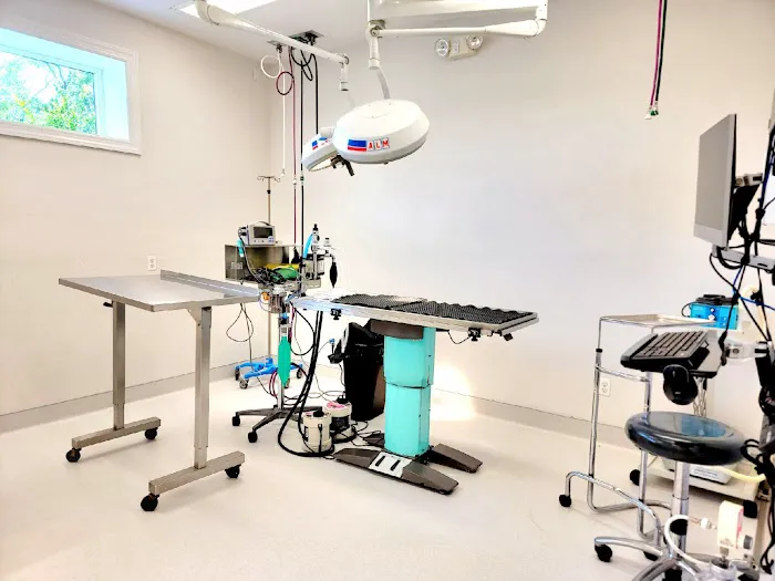 VCA Blairstown Animal Hospital 9