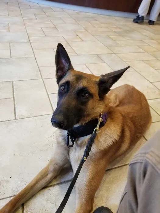 VCA Blairstown Animal Hospital 7