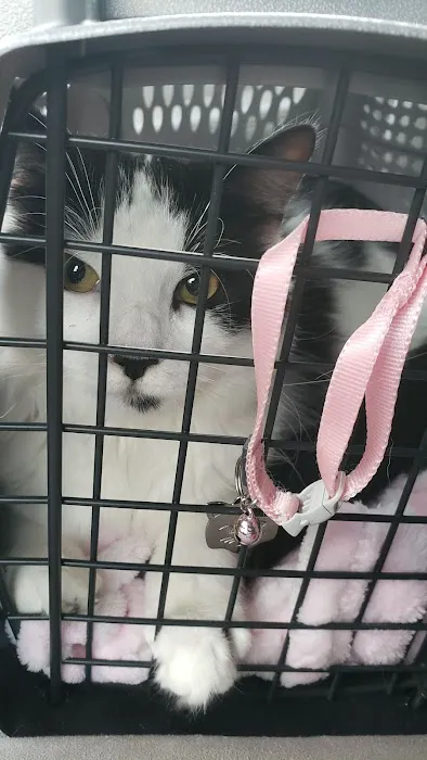 VCA Blairstown Animal Hospital 6
