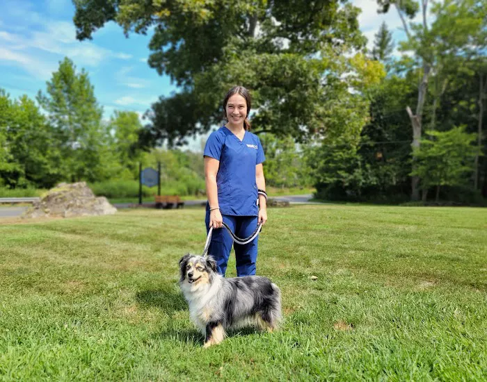 VCA Blairstown Animal Hospital 10