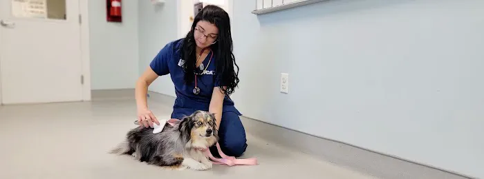 VCA Blairstown Animal Hospital 2