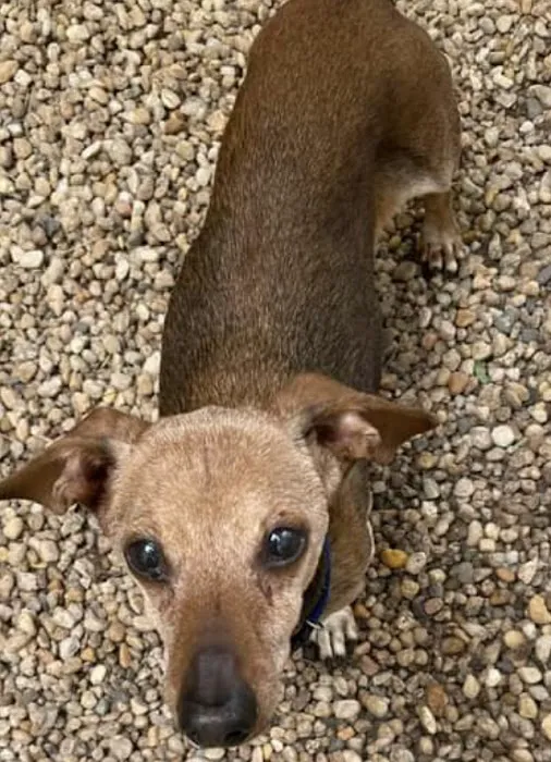 North Warren Animal Hospital 4