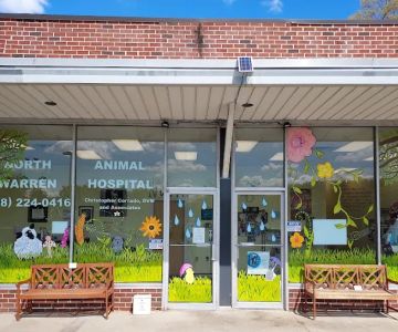 North Warren Animal Hospital