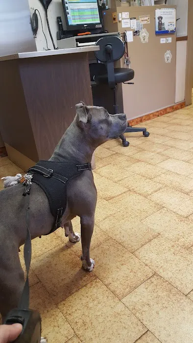 Northside Animal Hospital 7