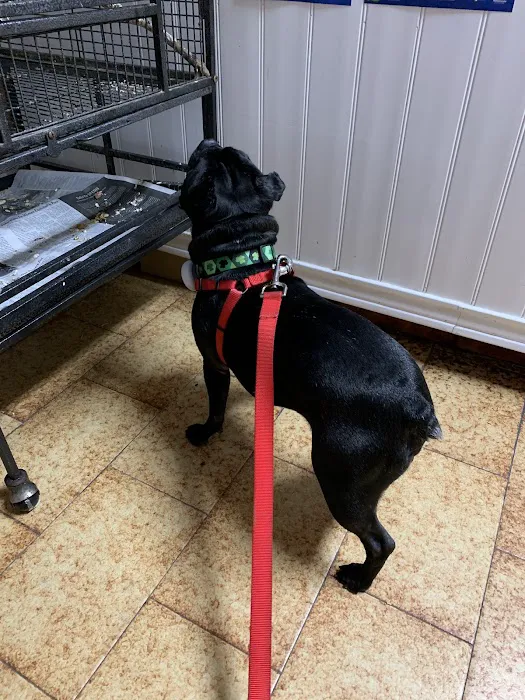 Northside Animal Hospital 4