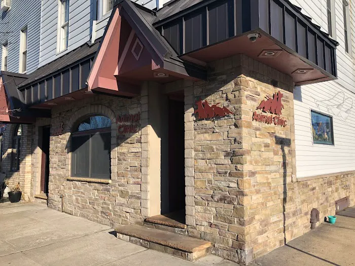 Animal Clinic of Bayonne 1