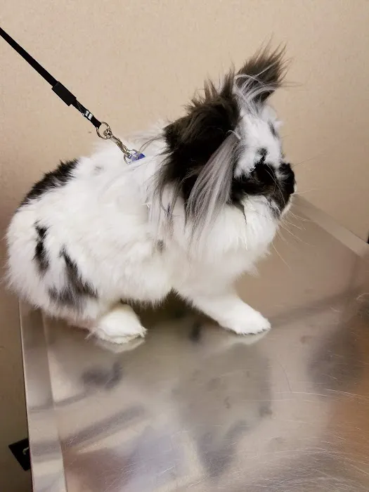 Animal Clinic of Bayonne 4