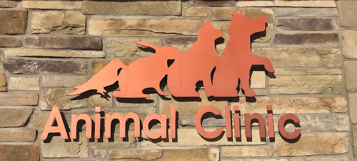 Animal Clinic of Bayonne 10