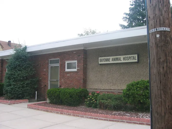 Bayonne Animal Hospital 3