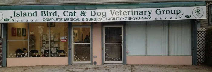 Island Bird Cat & Dog Veterinary Group 1