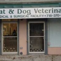 Island Bird Cat & Dog Veterinary Group ico