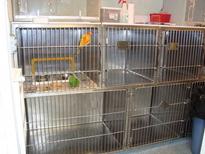 Staten Island Animal Hospital 7