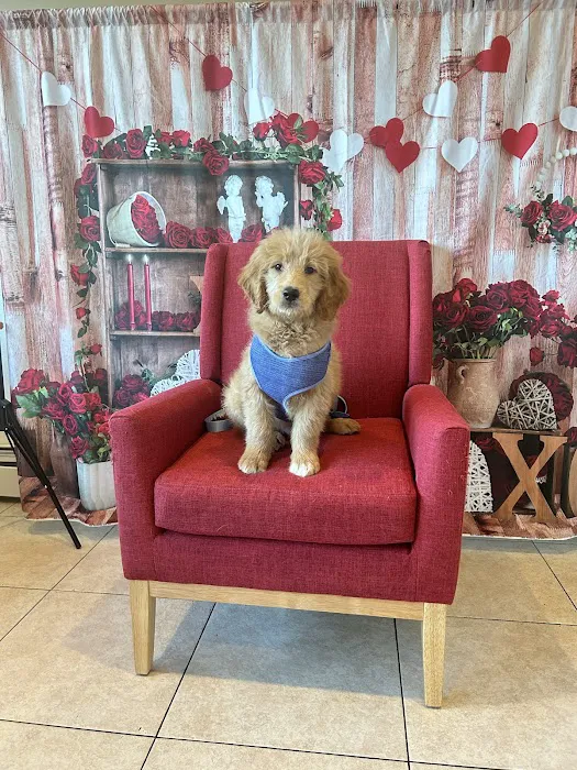 Staten Island Animal Hospital 6