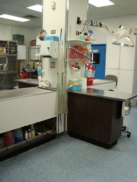 Staten Island Animal Hospital 10