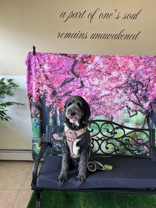 Staten Island Animal Hospital 3