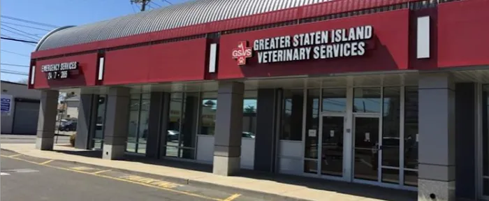 Greater Staten Island Veterinary Services 10